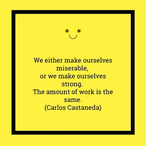 Happy Miserable Castaneda