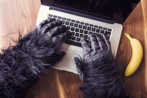 gorilla_laptop