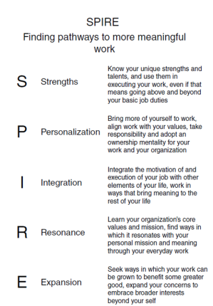 Finding Your Spark: Creating a Meaningful, Inspiring, and Rewarding  Workplace